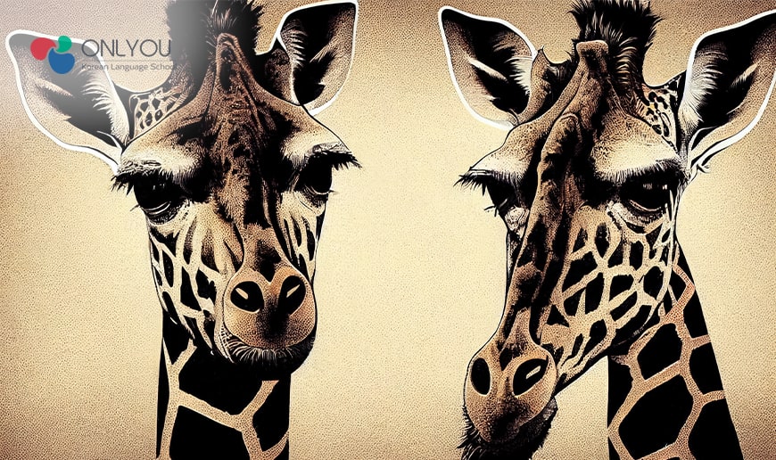 drawing of a giraffe-Learn Korean online