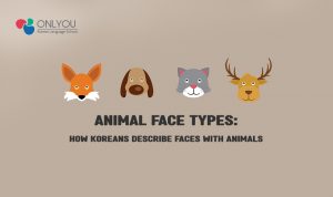 Animal Face Types How Koreans Describe Faces with Animals