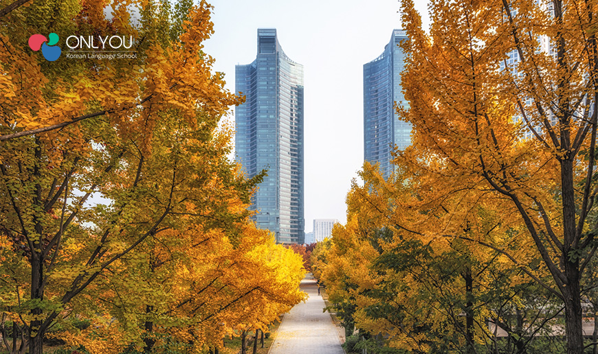 Urban and Easily Accessible Nature Spots