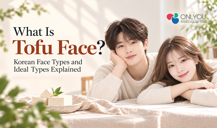 Tofu face and Korean ideal types illustrated with Korean face-type concepts